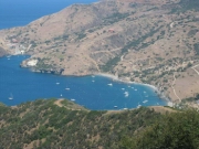 Whites Catalina 2005 04899.JPG: 2005/07/25 - Catalina - 2005
